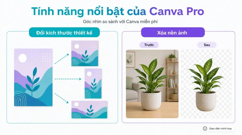Các tính năng nổi bật của Canva Pro so với bản miễn phí